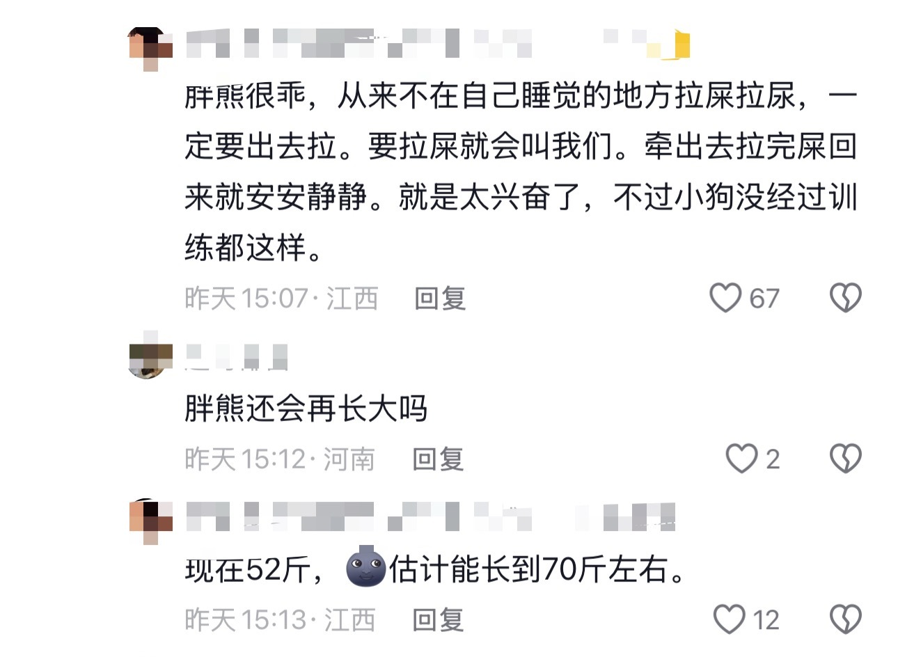胖熊现在已经有半个徐碧城的重量了🫪 