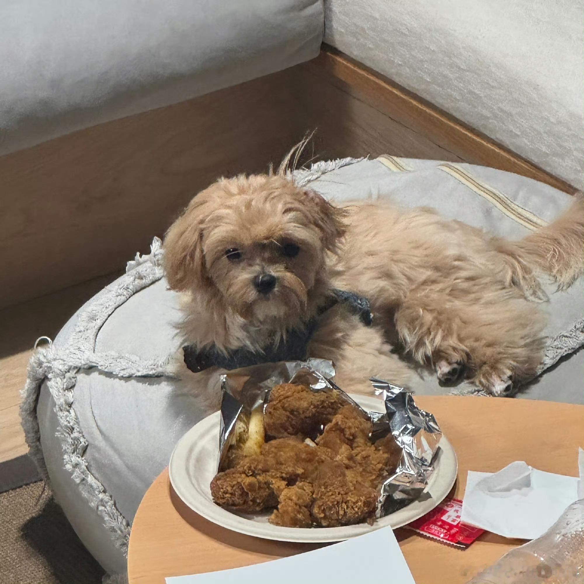 这张和炸鸡的合影是何意味 ​​​