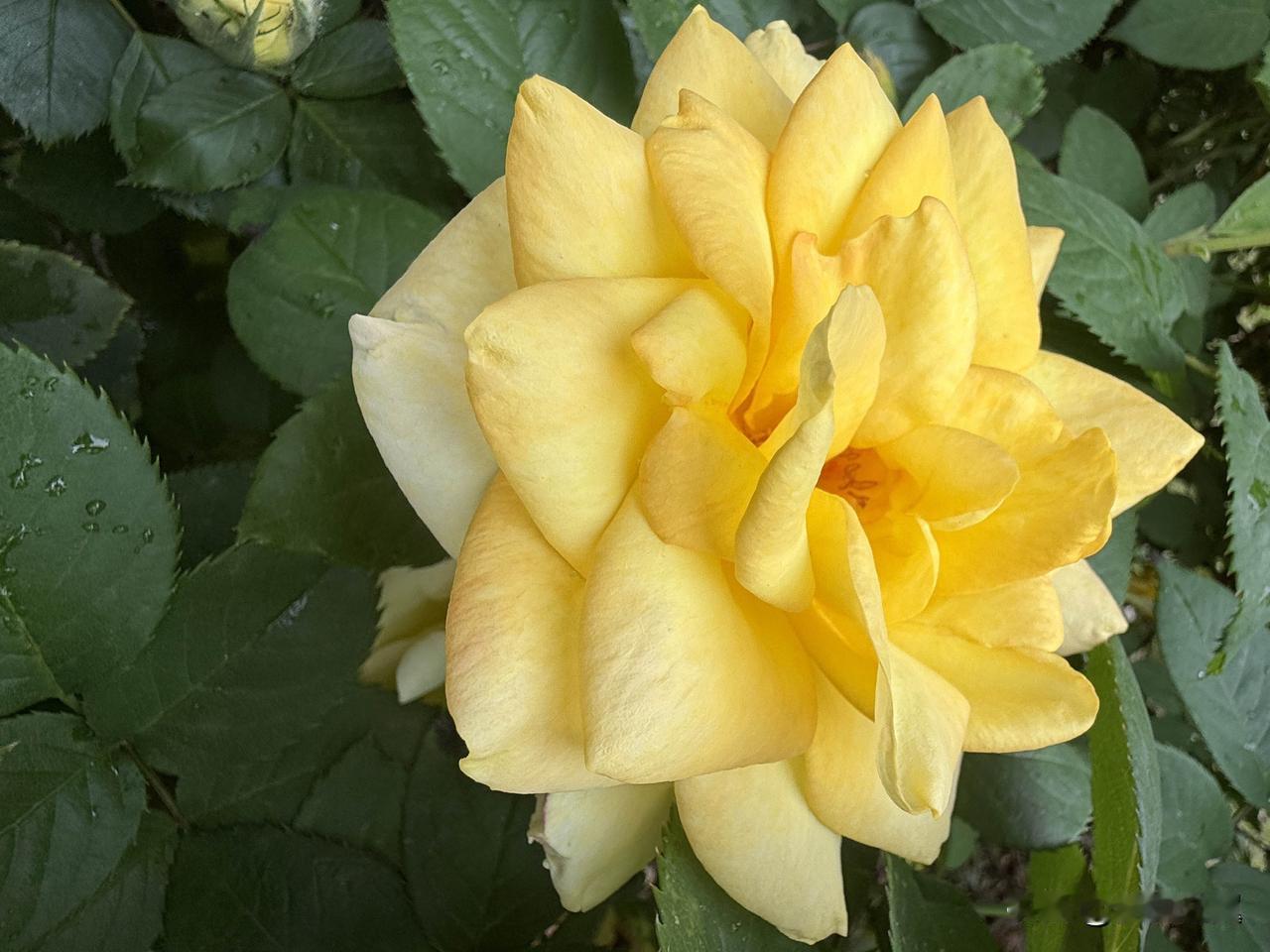 【小对联】
上：……？
下：差事。