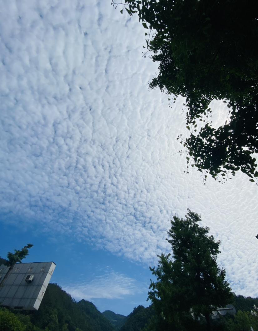 层层云海，是夏天。

夏天的大家都好努力啊，晨跑的、打羽毛球的、游泳的、抡铁饼的