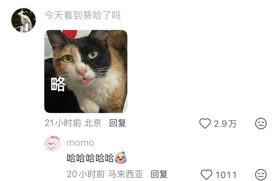 咪咪：我就只是想看看你会不会在意我刚打印好猫咪就回来了爆笑段子研究所