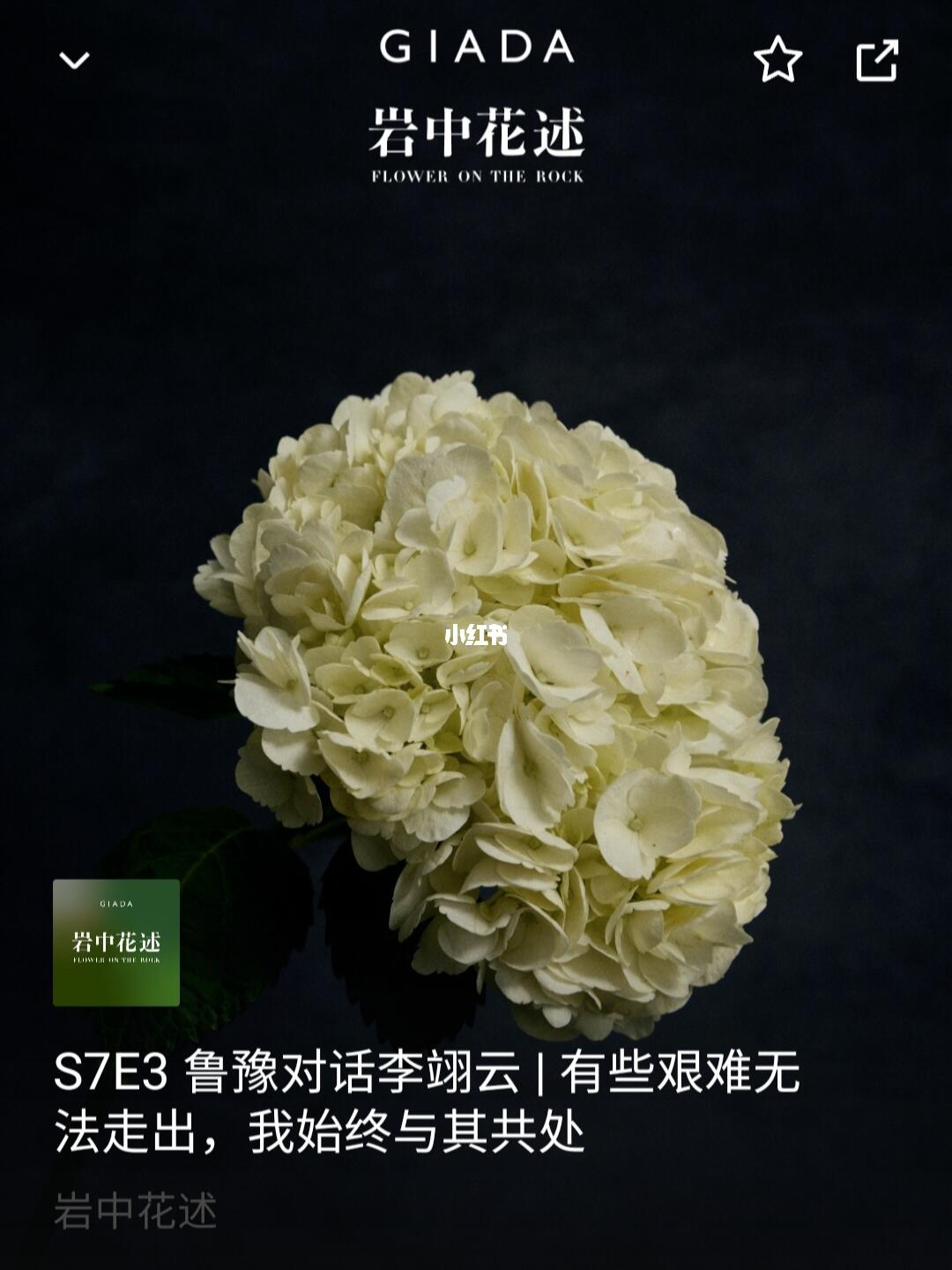岩中花述李翊云这期，震惊我的却是鲁豫！