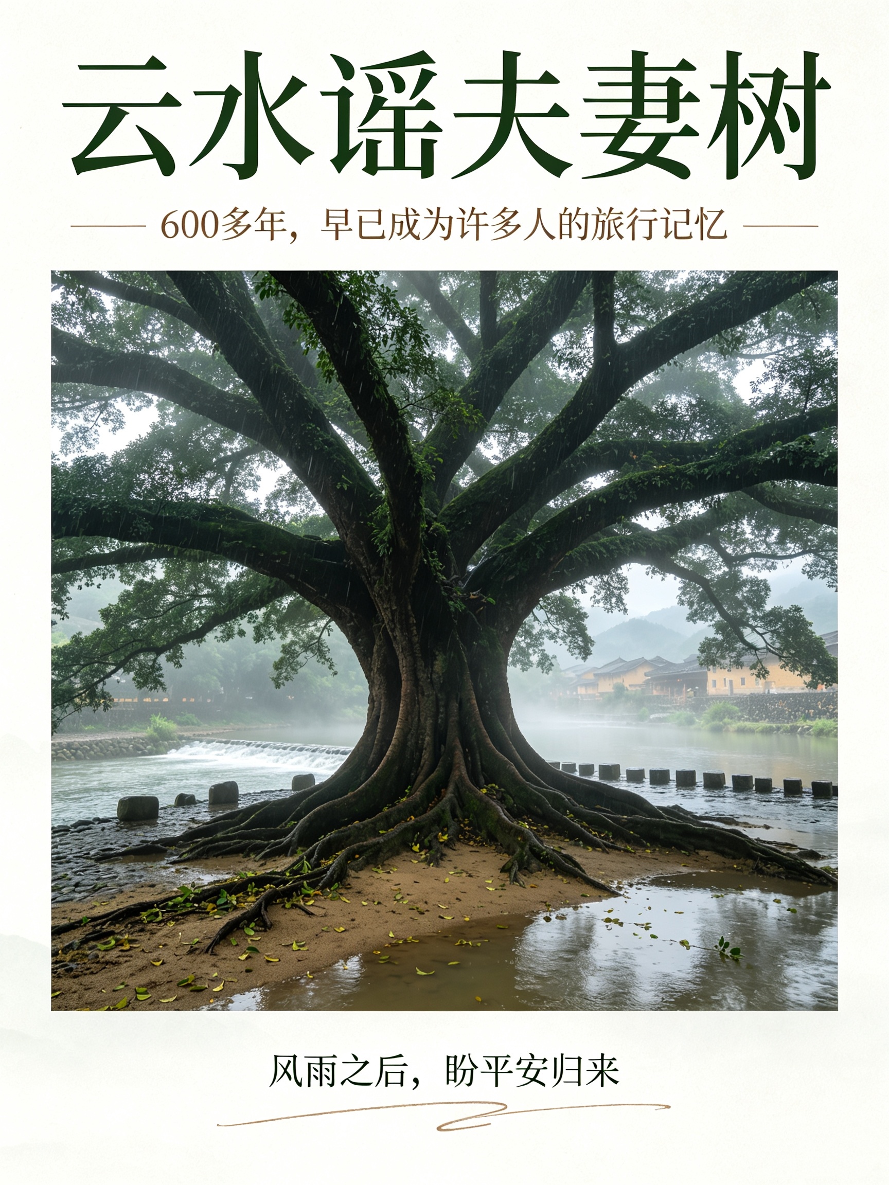 云水谣景区600多年榕树被连根拔起受台风“沙德尔”带来的暴雨洪水侵袭，福建漳州云
