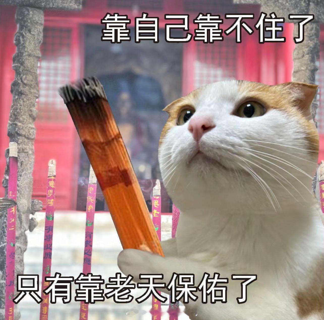 #内娱有自己的刮刮乐#，刮一刮，说不定能刮出个“粉丝见面会”大奖，和自家爱豆面对