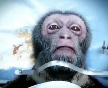 2016年，中国科学家耗费7000万，给猴子来了一场“换头”手术。可就在手术成功