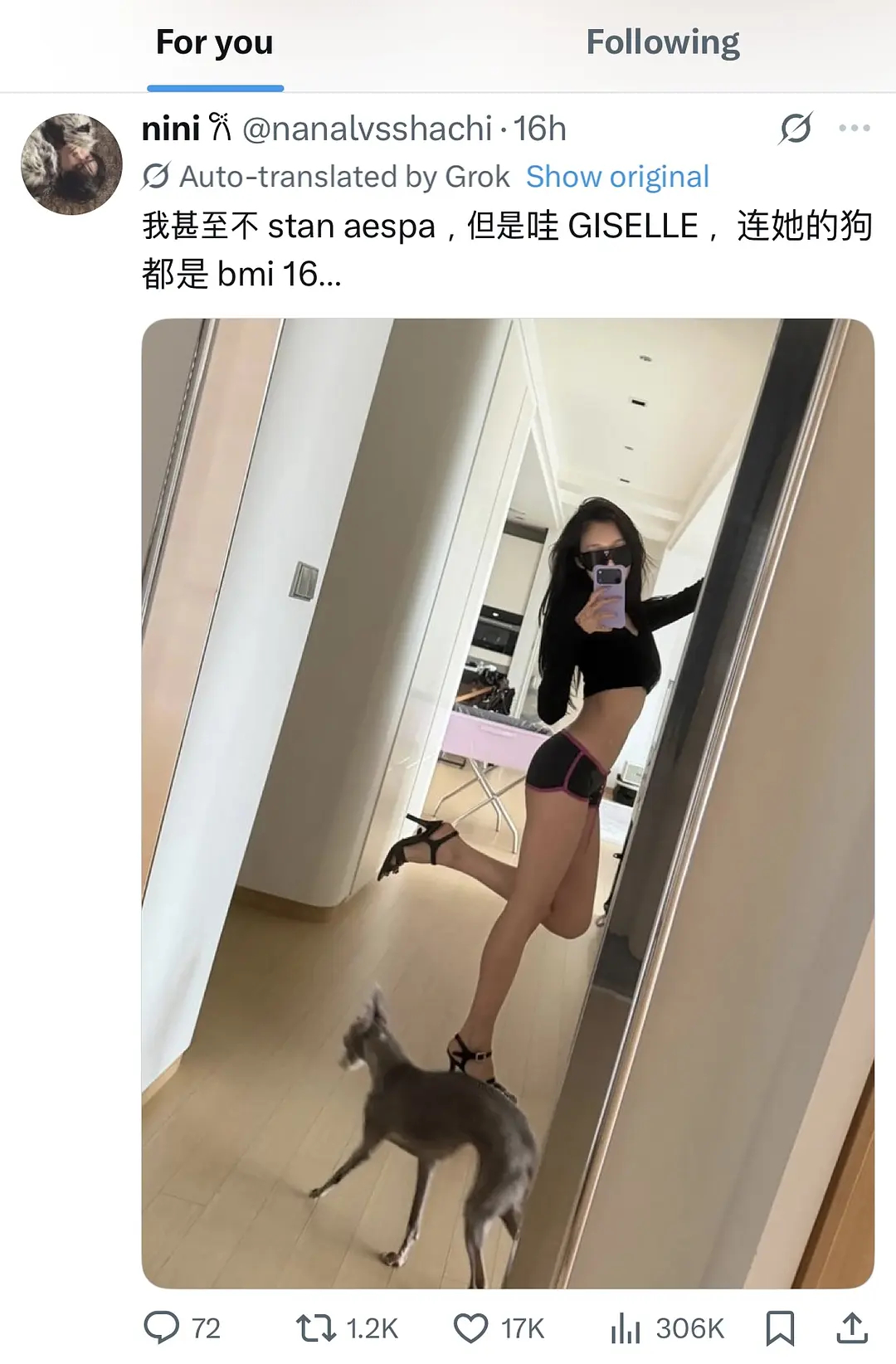 Giselle的狗也跟着一起减肥了吗？ 
