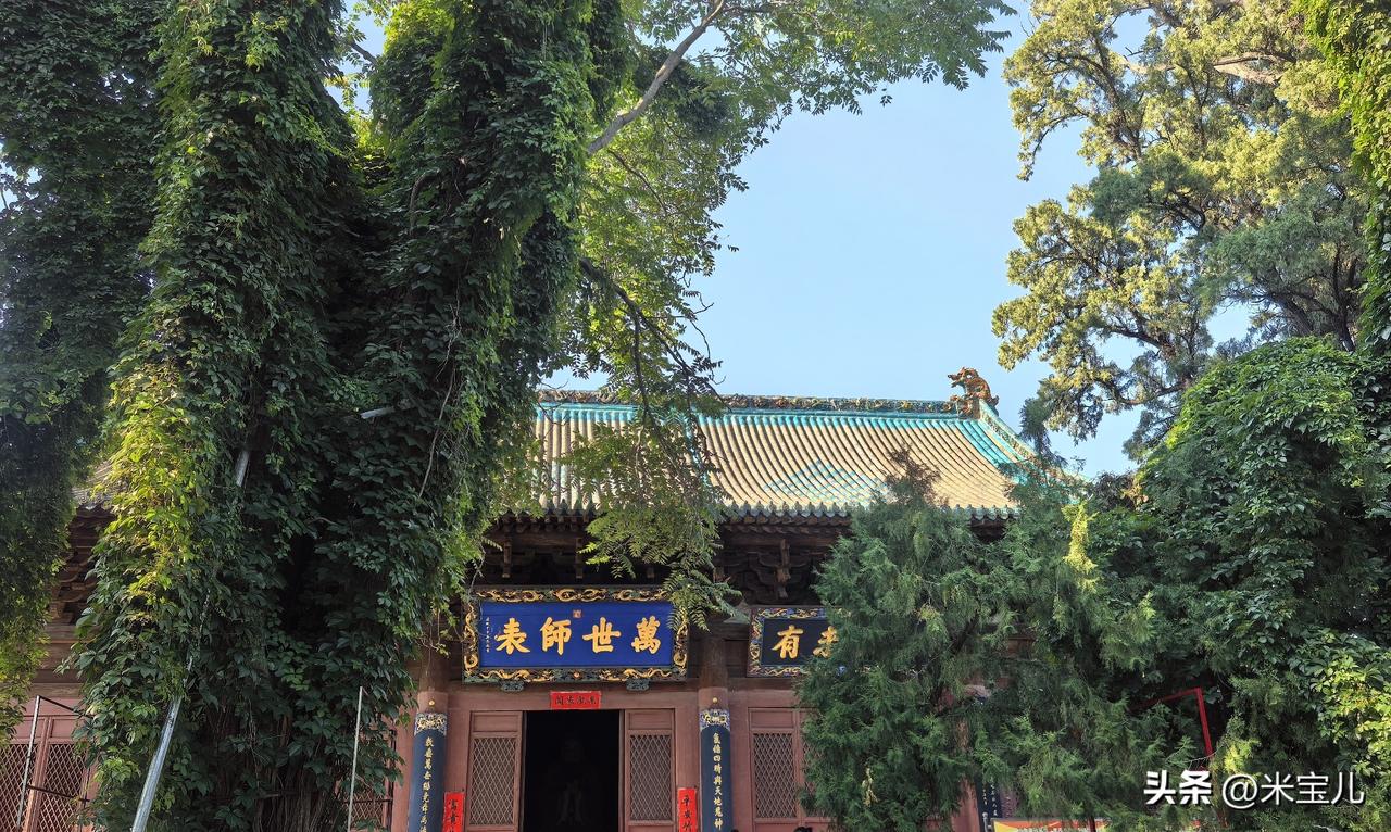 不知道你有没有这样的经历，
在电梯里总是被本单元的陌生人搭讪，
有男有女，还有小