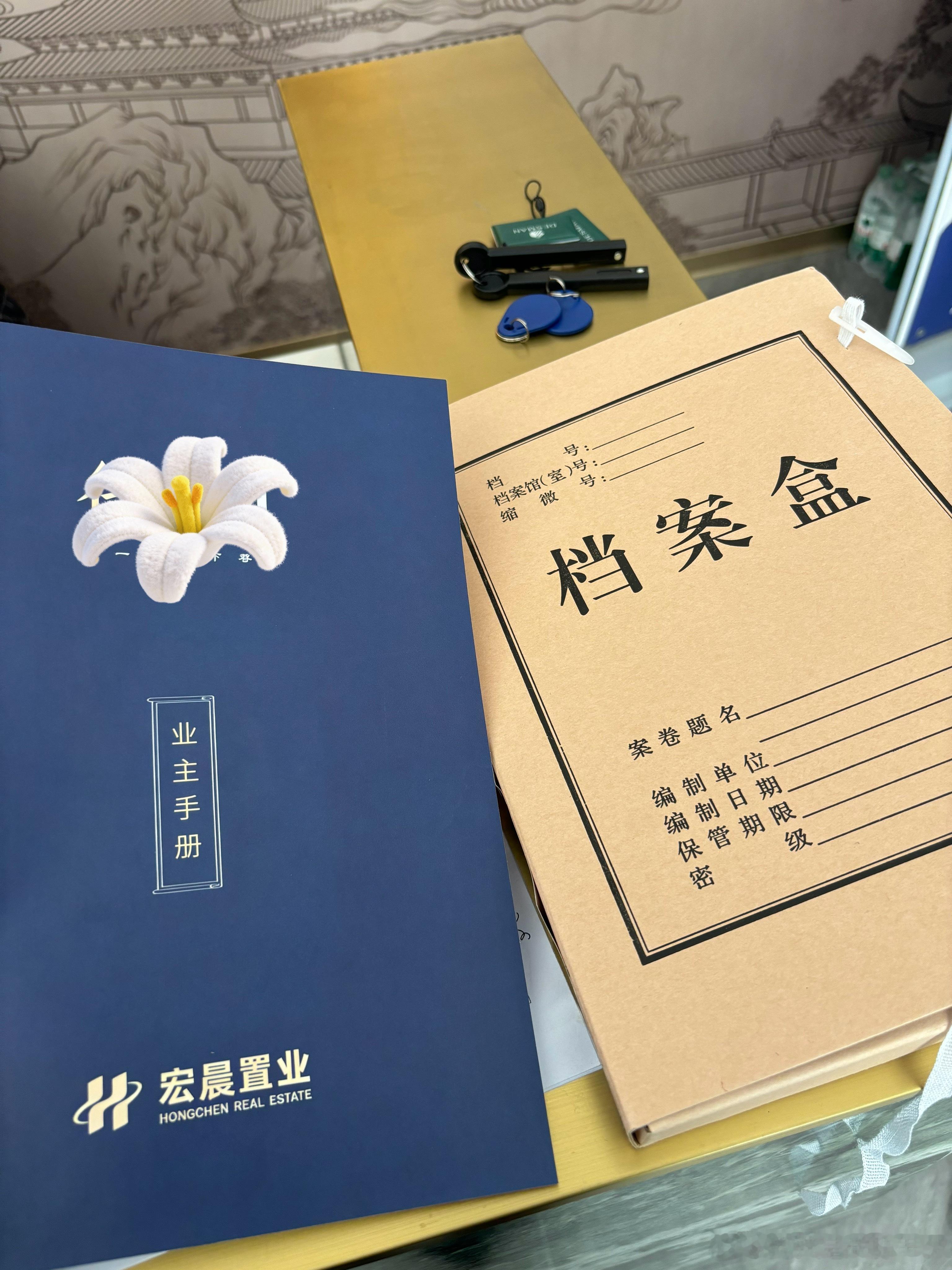 感谢大boss免了我的物业费 垃圾费 燃气费 装修费  还给我拎包包