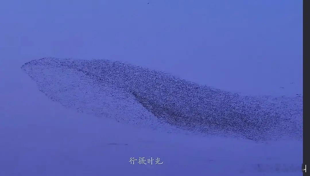 你们看到拍到鲲鹏的吗 震撼啊 