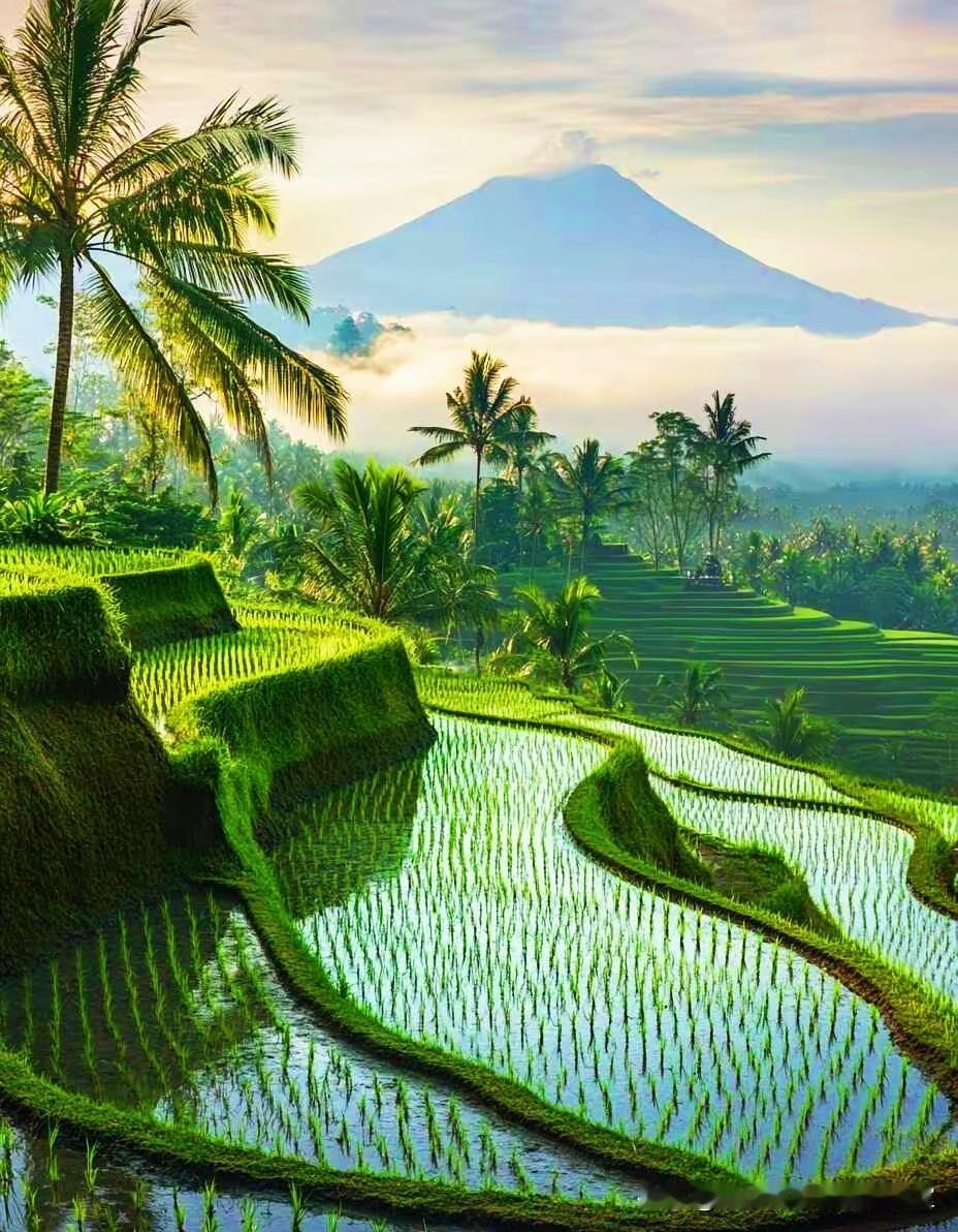 关怀体贴，未必能赢得女人的爱

一个对女人体贴入微、关怀备至的男人，往往难以真正