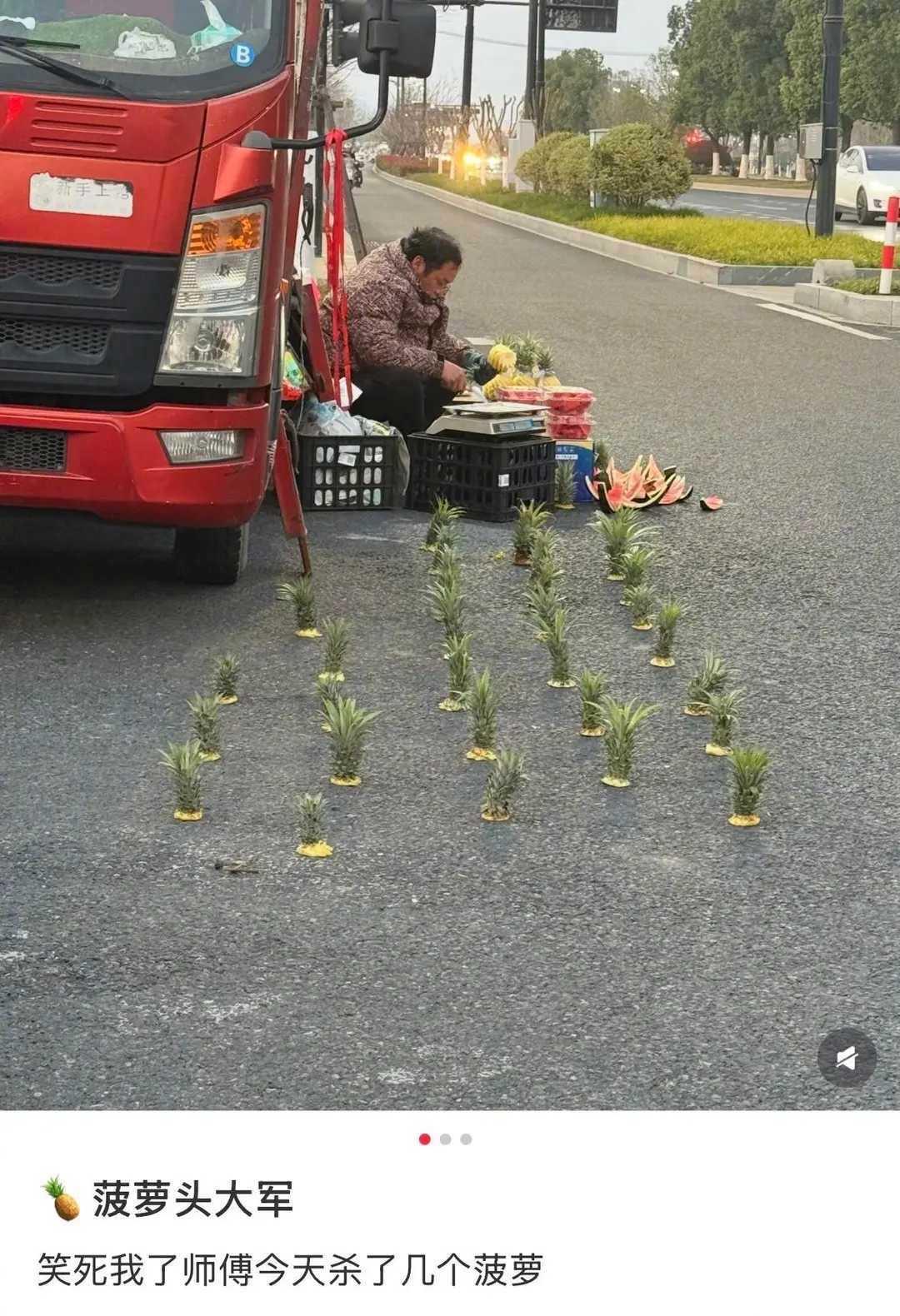 这阵势真的是太厉害了