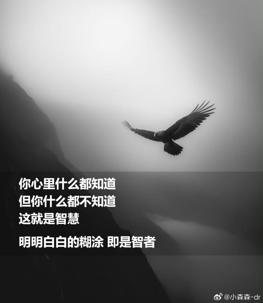 人生中很多重大的问题都无法解决，只能在成长的过程中超越。人有一个很重要的功课就是