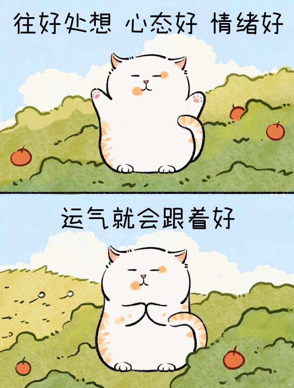 感谢棚友们的关心。核磁共振已做。膝盖只是肿大有积液和软组织挫伤。骨头和半月板完好