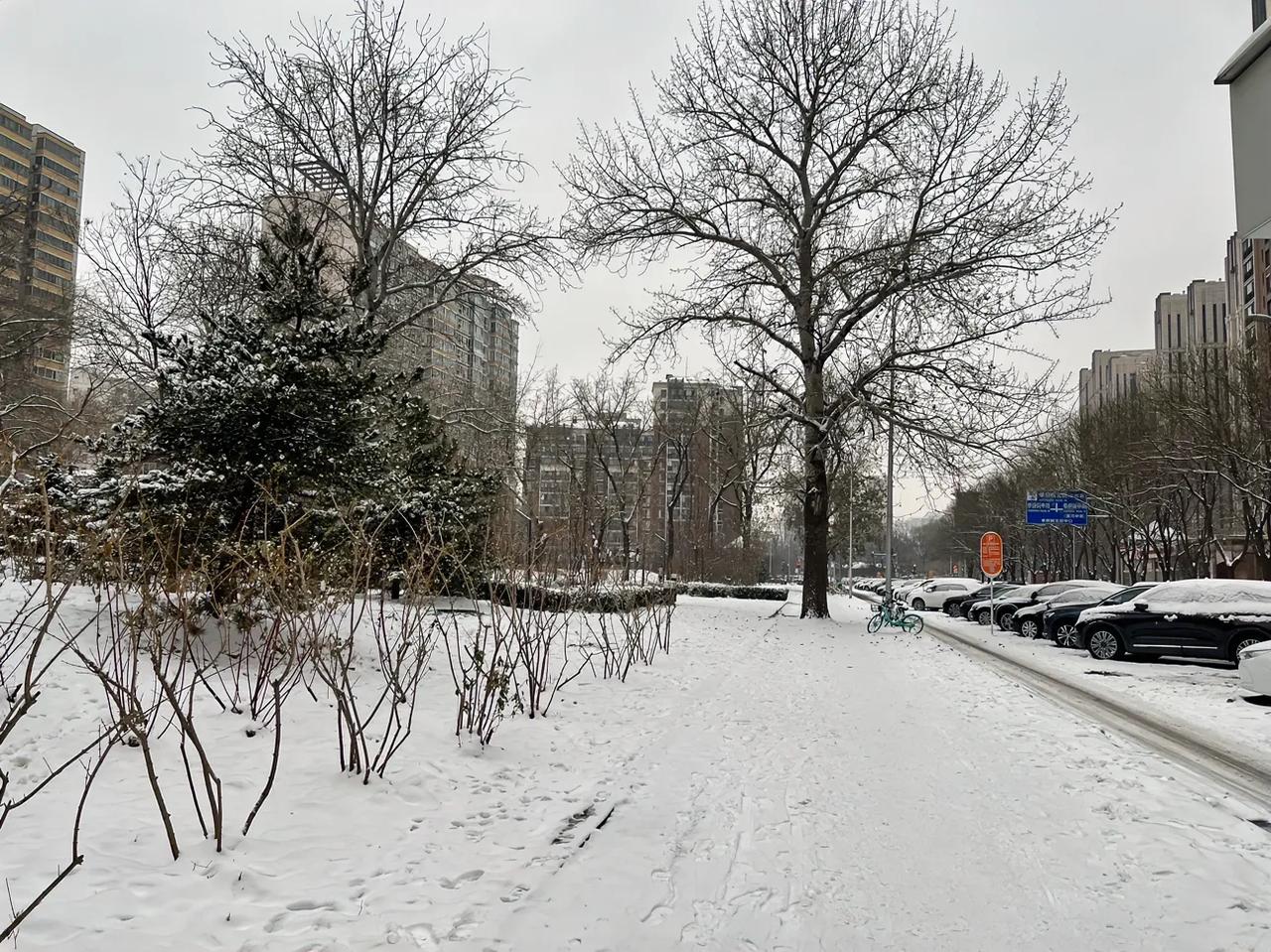 早上五点多醒来，外面白茫茫的一片，想到不必冒雪摸黑六点四十就下楼坐班车，幸福感油