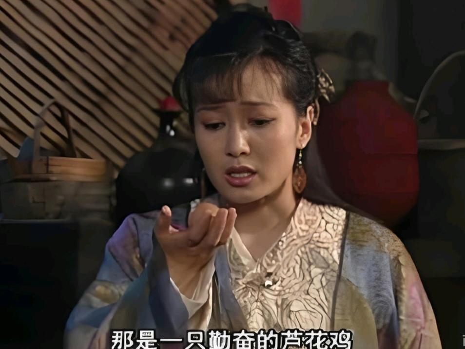 看《武林外传》第58集《小师妹现身七侠镇，大师姐难解心头愤》时被那个假仁假义的南