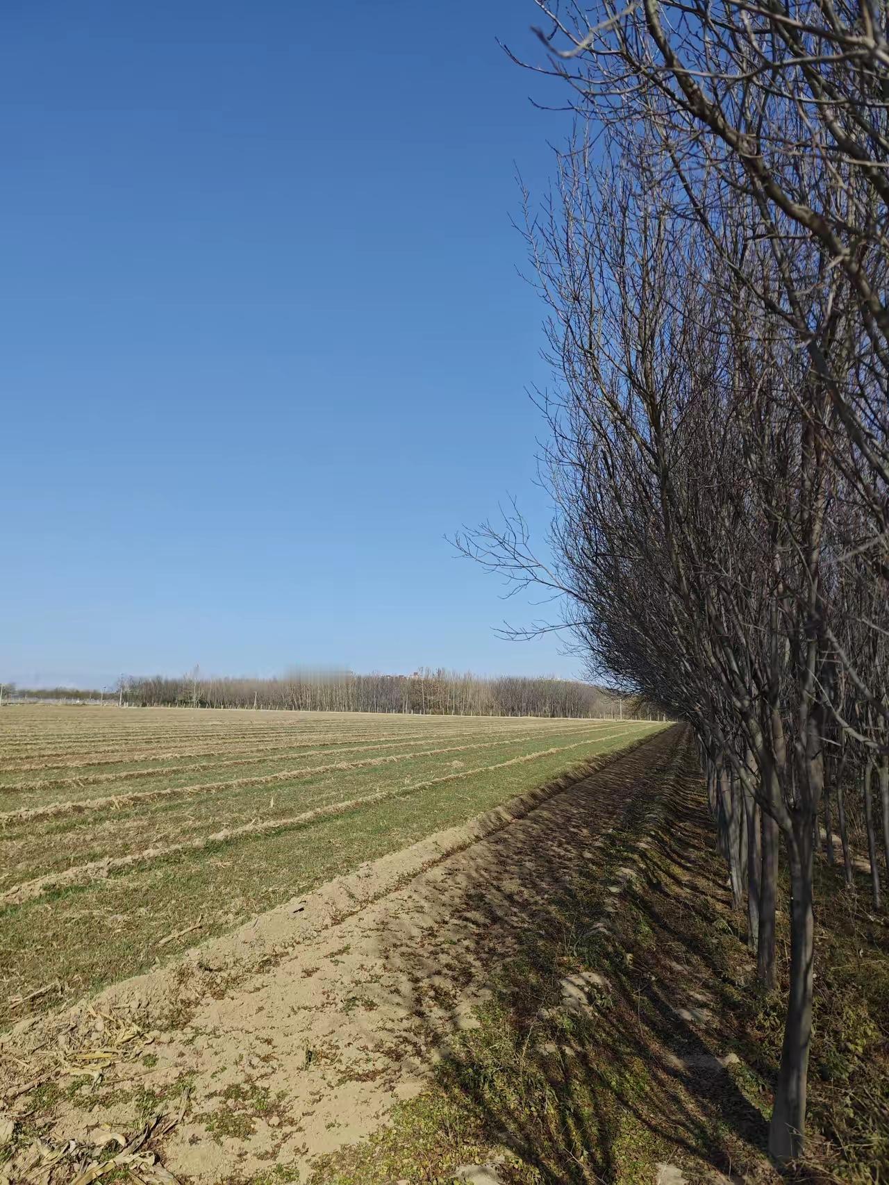北人要壮而肥，南人要瘦而小。南人北相者贵，北人南相者富。骨好者寿，肉好者富，神好