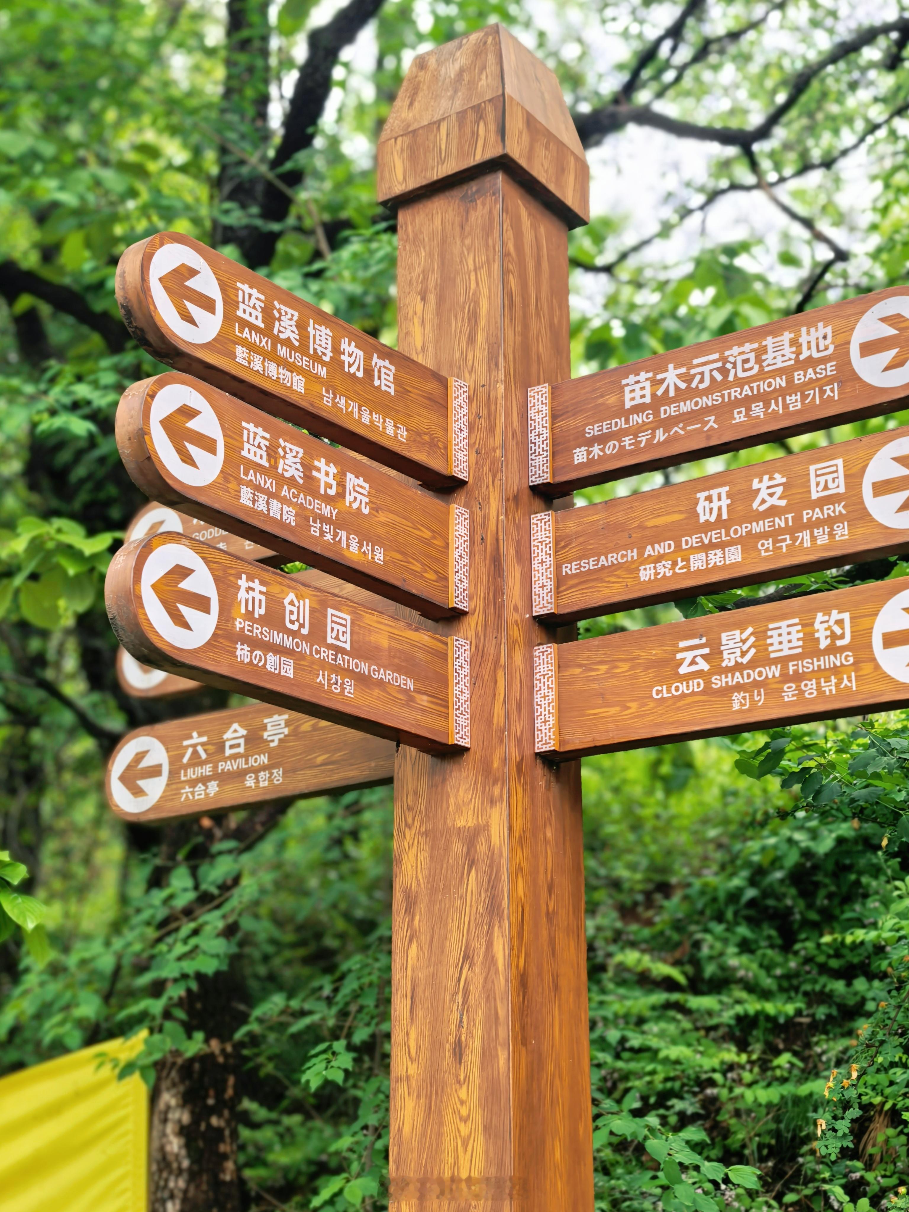 西安西北，有这么一座以“中国槐乡“闻名的千年小城，它便是咸阳永寿。走进咸阳永寿看