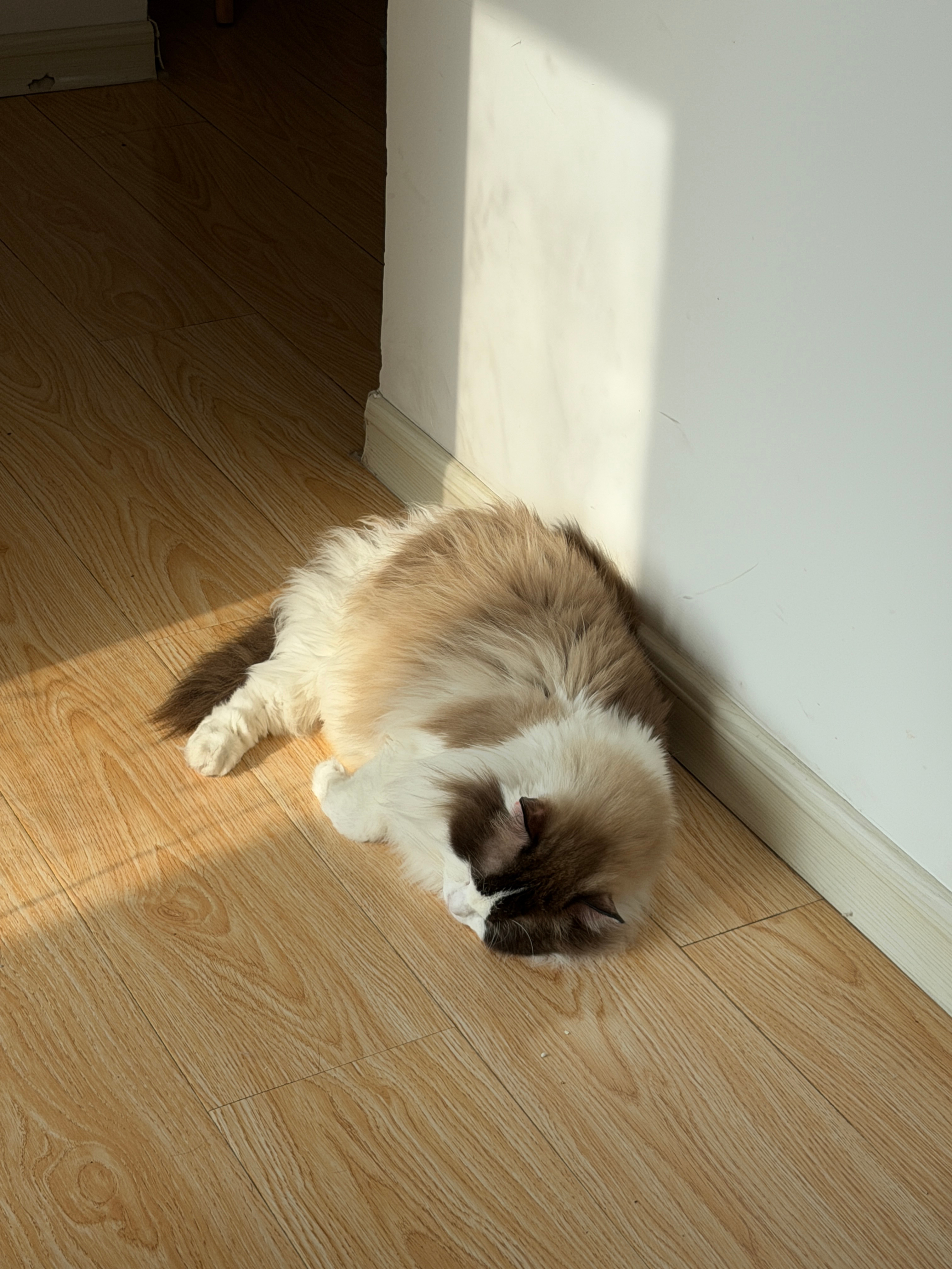 uu们早上中午下午好，今天接近于睡了一天，狠狠的把上周的觉补回来了