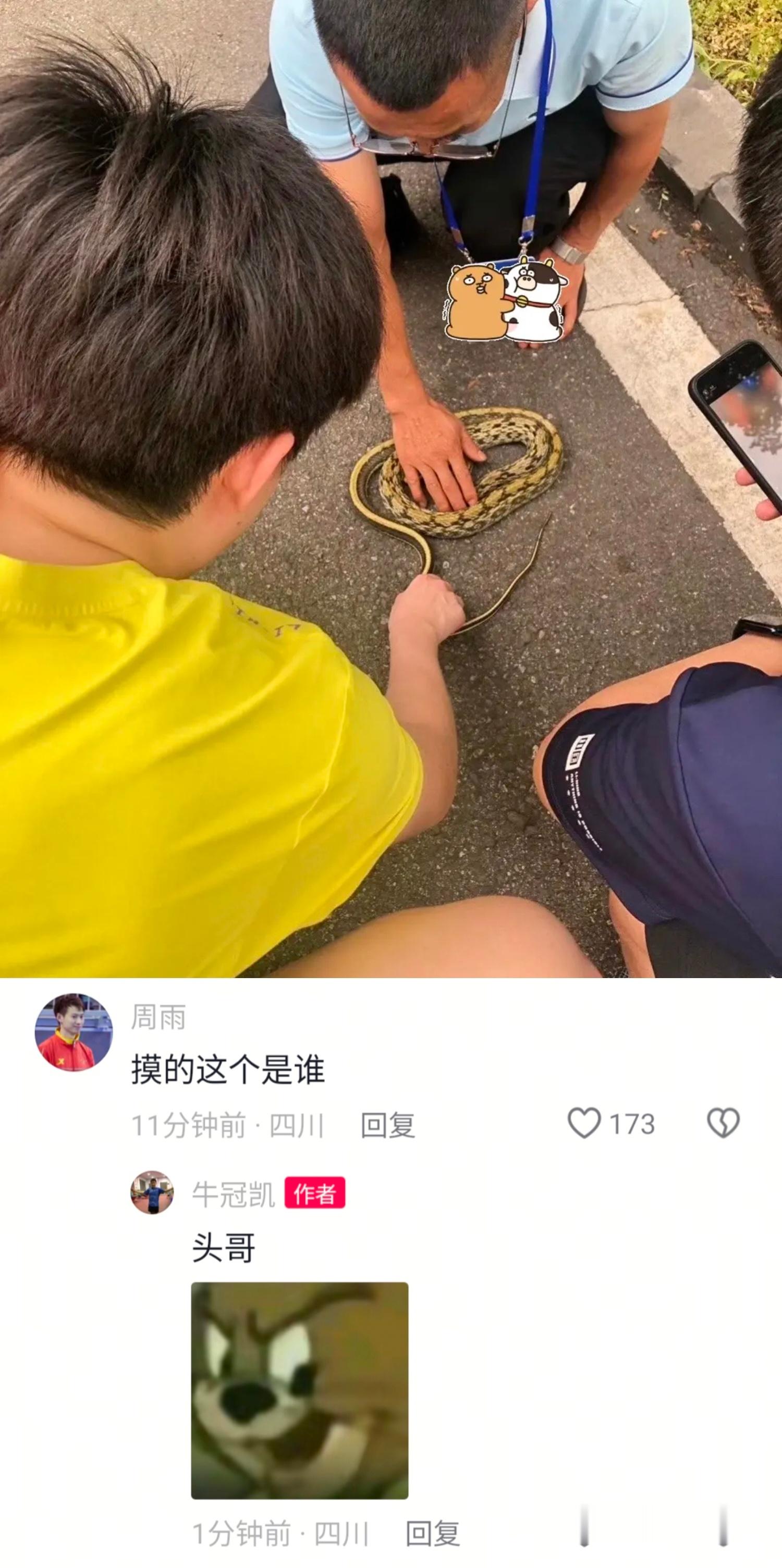 头哥摸蛇🐍 胆儿超大 的王楚钦 ​​​