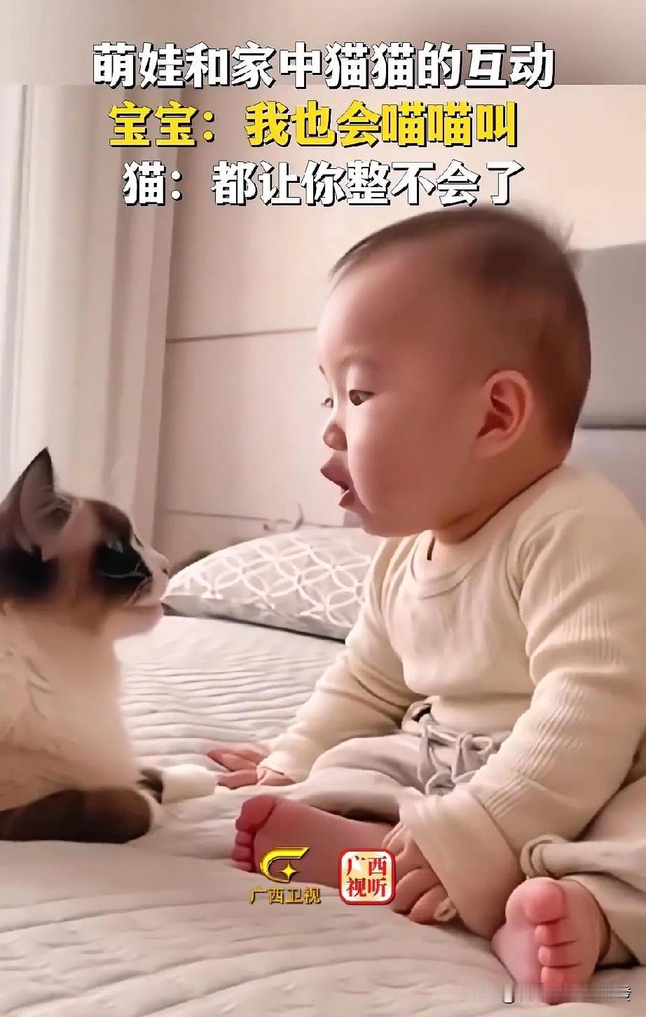 一位宝宝和家中小猫咪面对面坐着，宝宝学着猫叫喵了一声，没想到猫咪挺有意思，也跟着