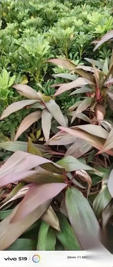 上海爸爸这波操作绝了！

2400万婚房刚买三月...

女方提离婚要分1500