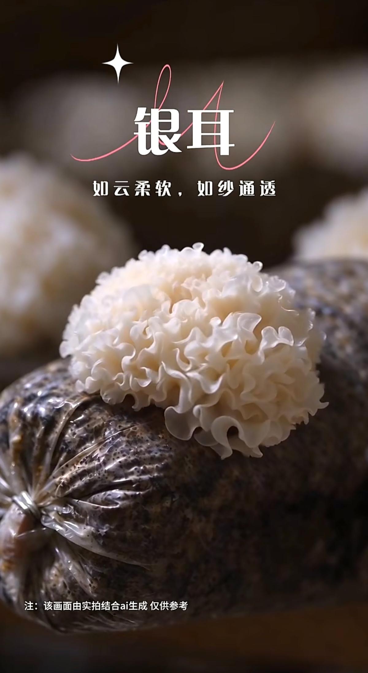 云起山野，菌香将至。
福建古田银耳菌菇溯源，等你来尝鲜。