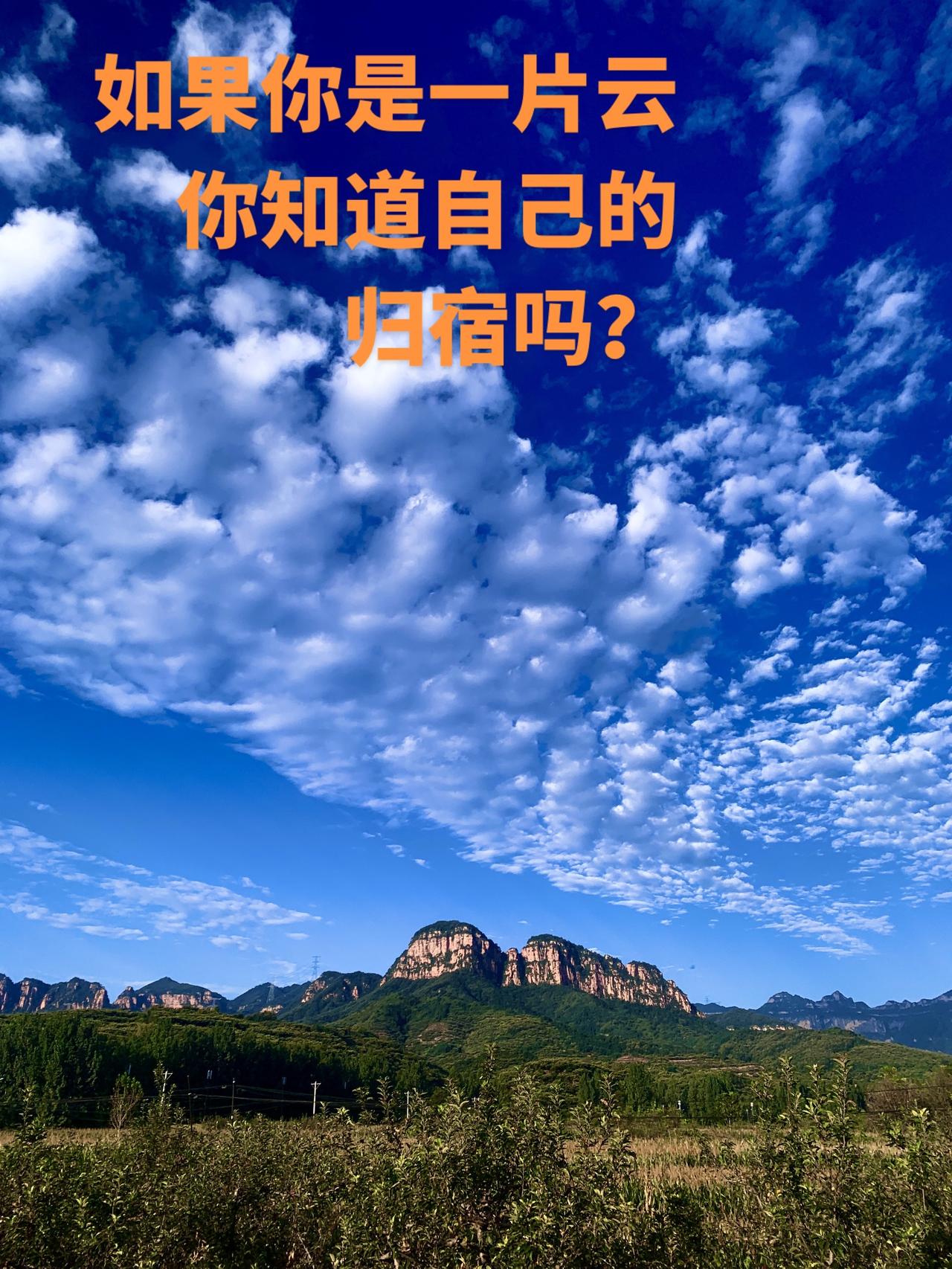每天都有云出现，却不知道都去了哪里。随手拍的美景 这是我看到的天空 被感染的天空
