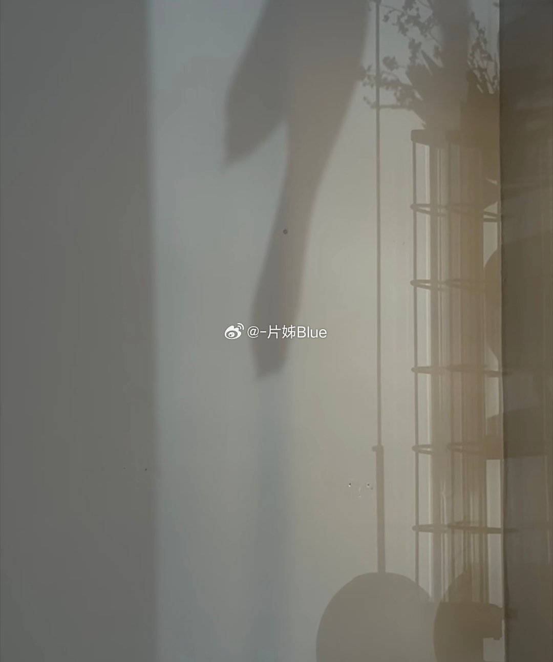 有人说上了这个牛马班就如同上了一个发不了cai也饿不si的班又是忙忙碌碌的一天又