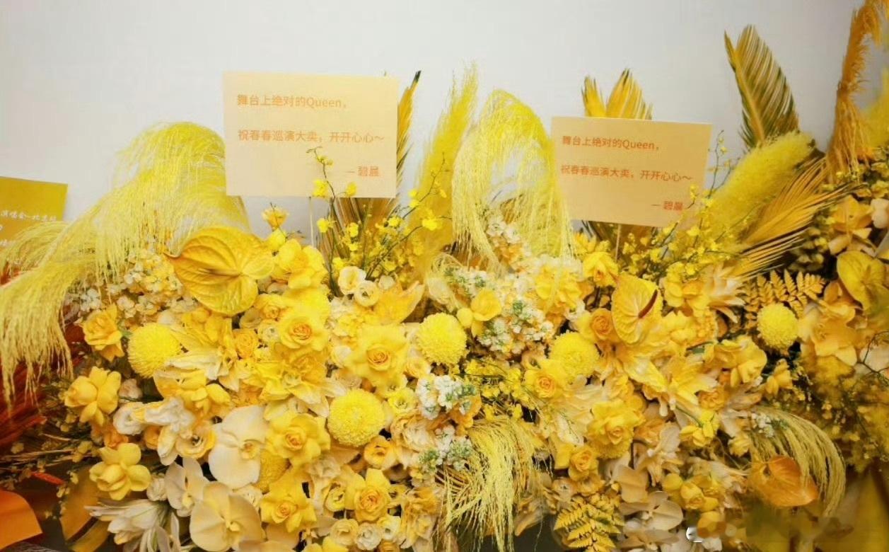 张碧晨宋佳探班李宇春演唱会宋佳张碧晨空降李宇春直播间 张碧晨空降直播间那个氛围太