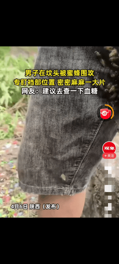​​“哭笑不得！”陕西一男子清明节去上坟，突然一群蜜蜂飞来直接围攻他，没想到的是