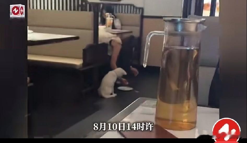 餐盘拿来喂狗，这事儿是没完了？
8月10日，长沙一餐馆又出现了用餐盘喂狗的闹剧，