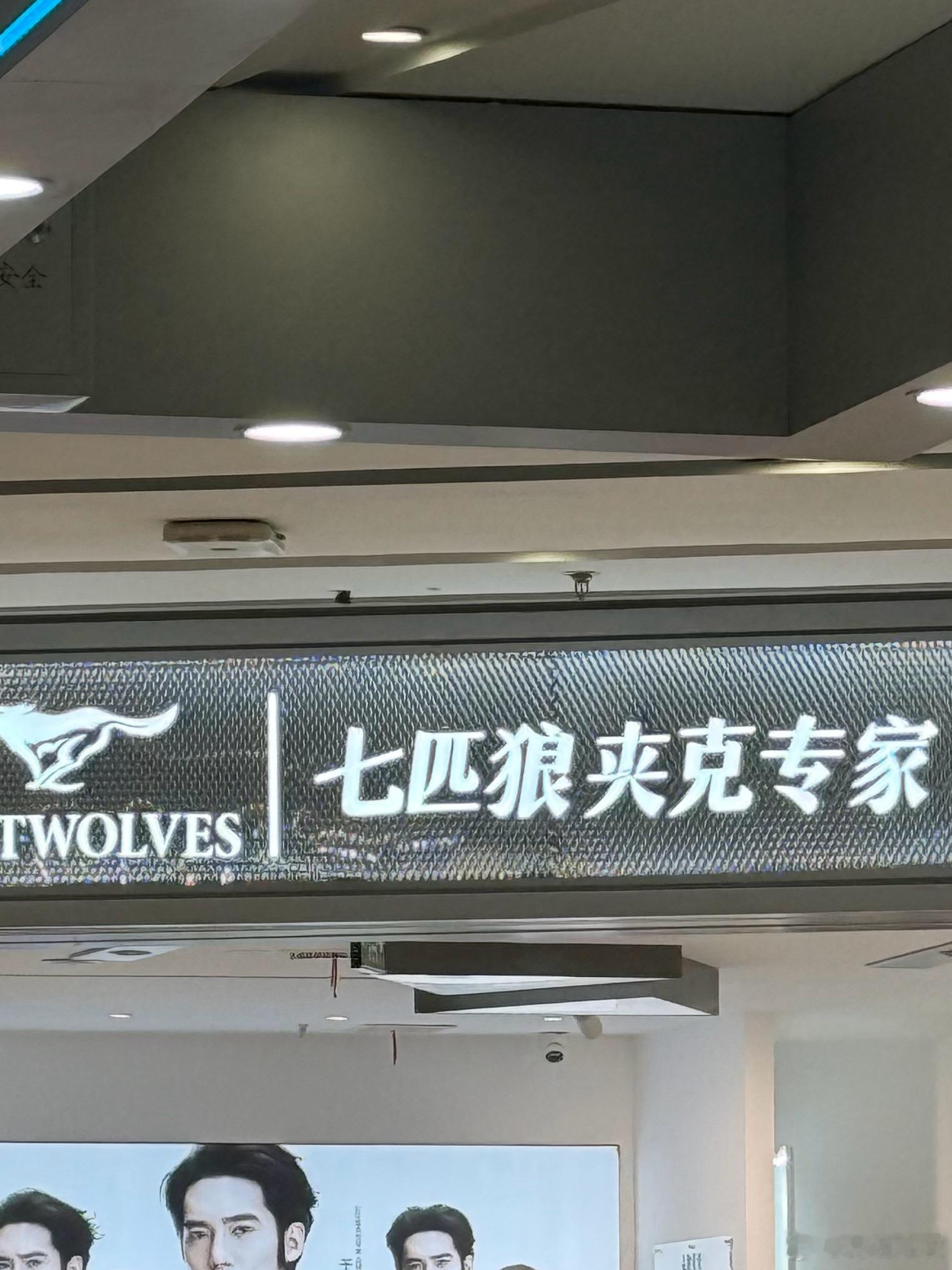 偶遇七匹狼 ​​​