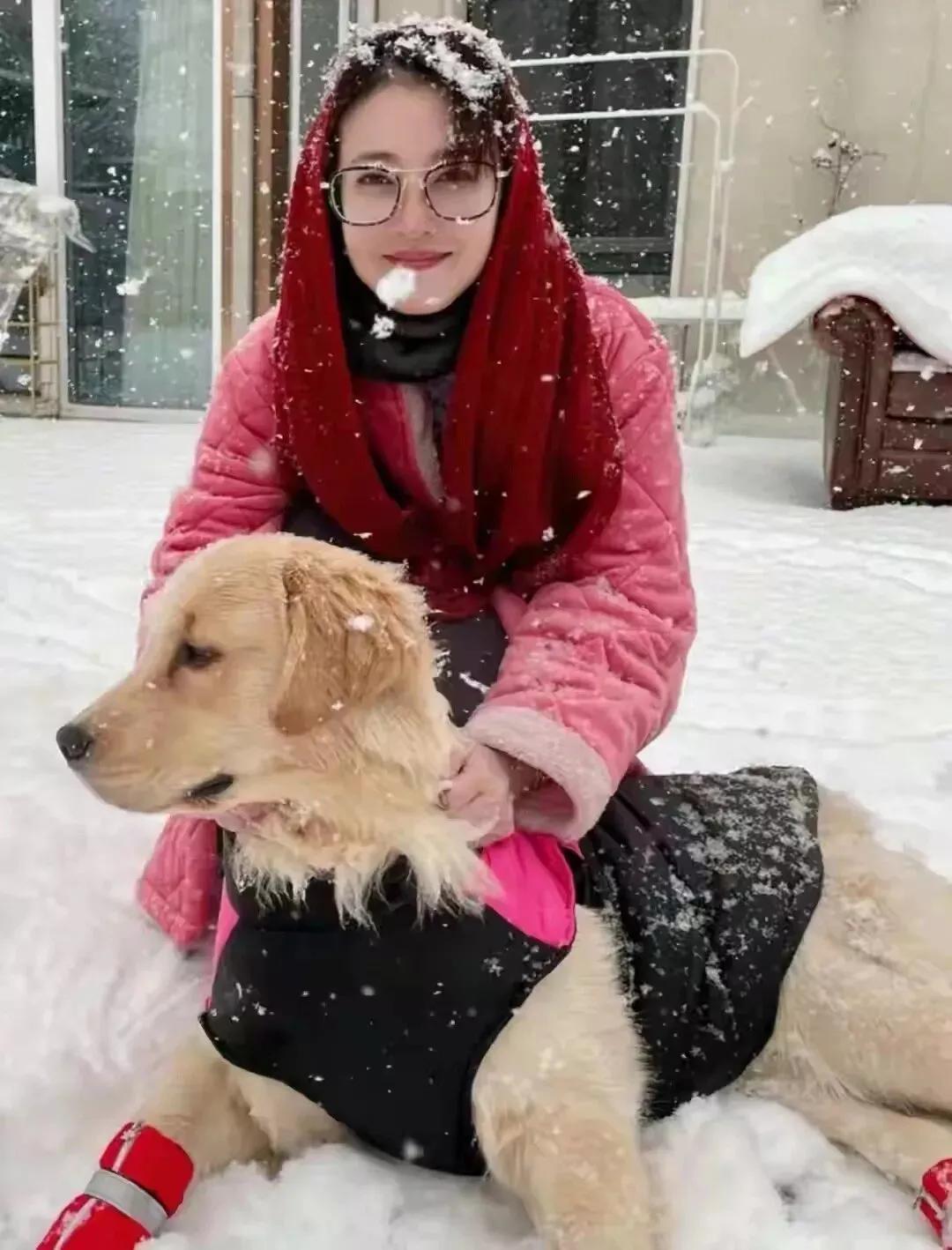 狗还是那个狗，人已经不在了。
狗狗正在心里嘀咕:好几天没见主人了，怎么不来见我了