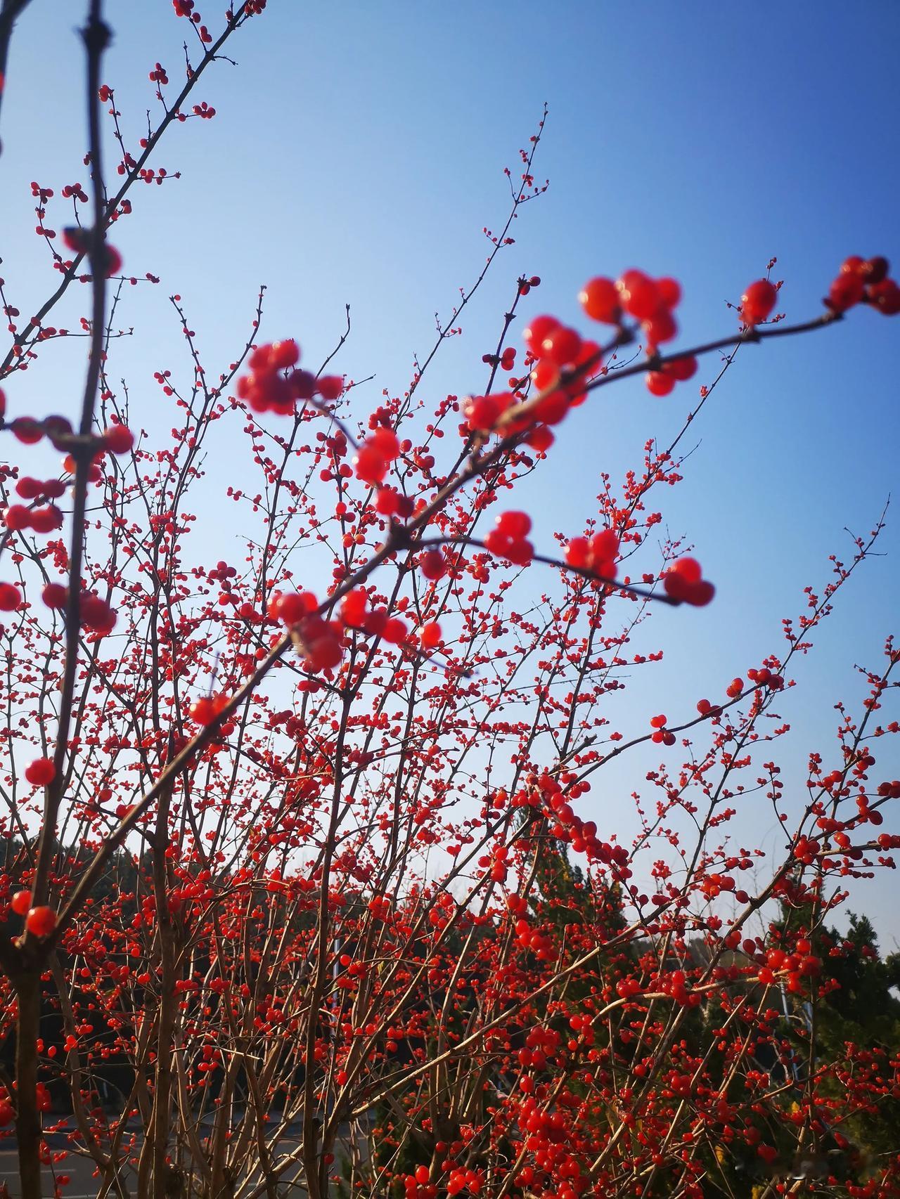 想让自己心情好，最好的防弹衣、防护盾牌就是：不在乎。

比如说，你每天去扔垃圾，