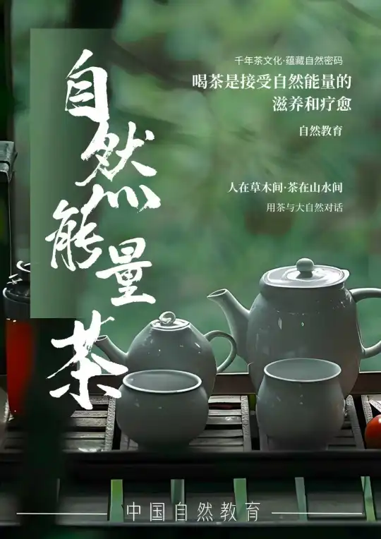 千年茶文化｜蕴藏自然密码