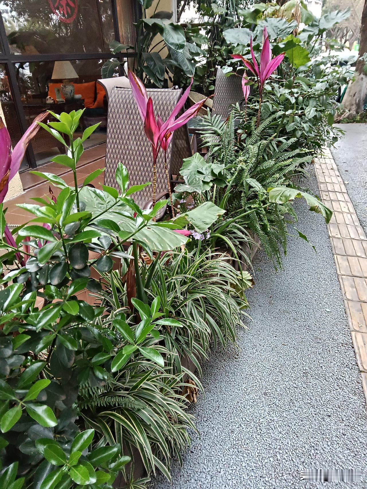 初暖花开，春意自来；春天的到来，在这些“悄悄”里。

嘘，小声点，不要声张，
