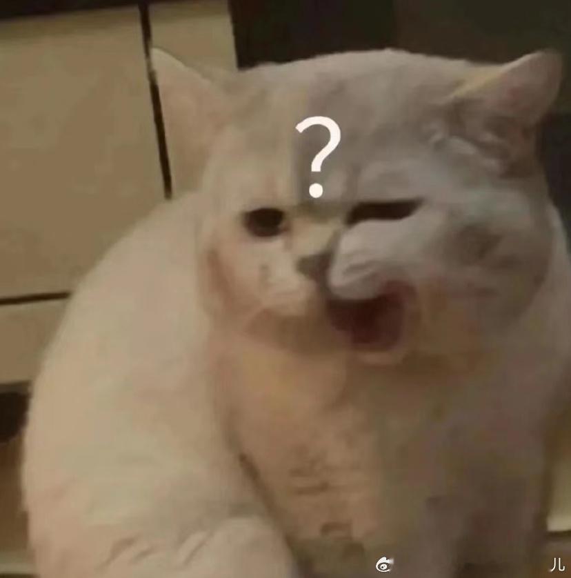 曝白玉兰视后票数很接近白玉兰不是已经颁完了吗？生命树挺好看的实至名归，为什么现在