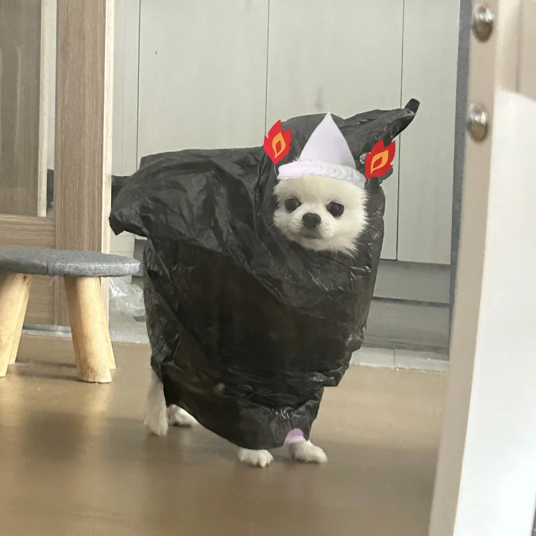 可爱鬼来喽🎃