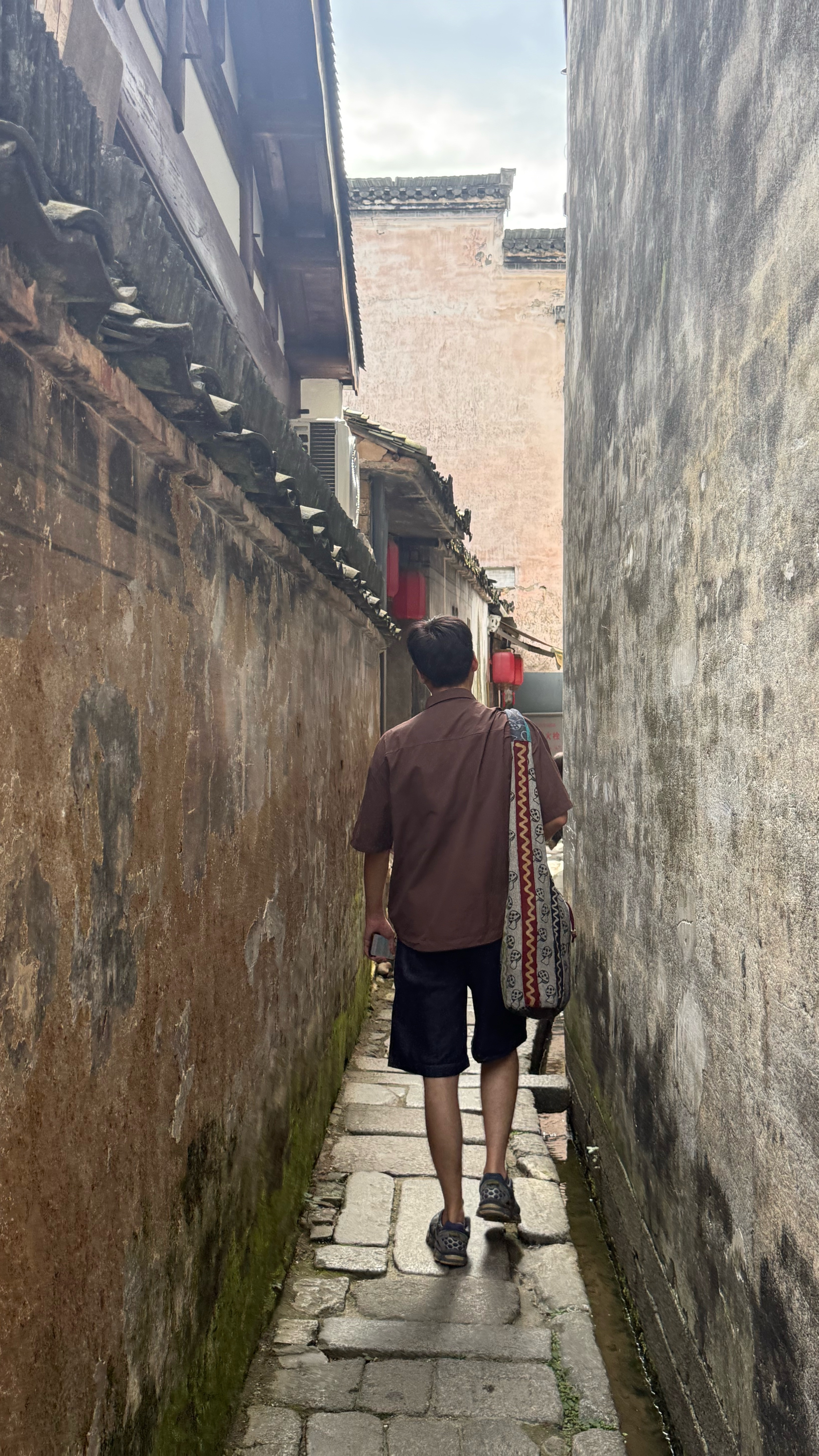分享图片 