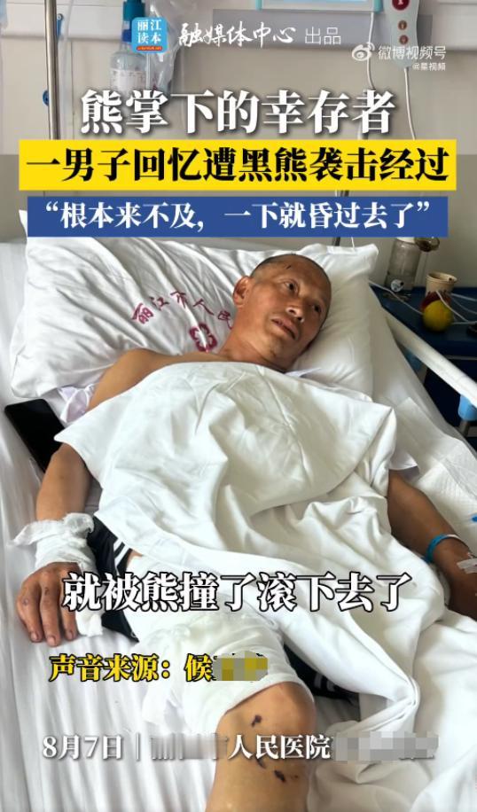 “这就是命啊！”近日，云南丽江，一男子上山采药，结果撞到了一头500斤的黑熊，男