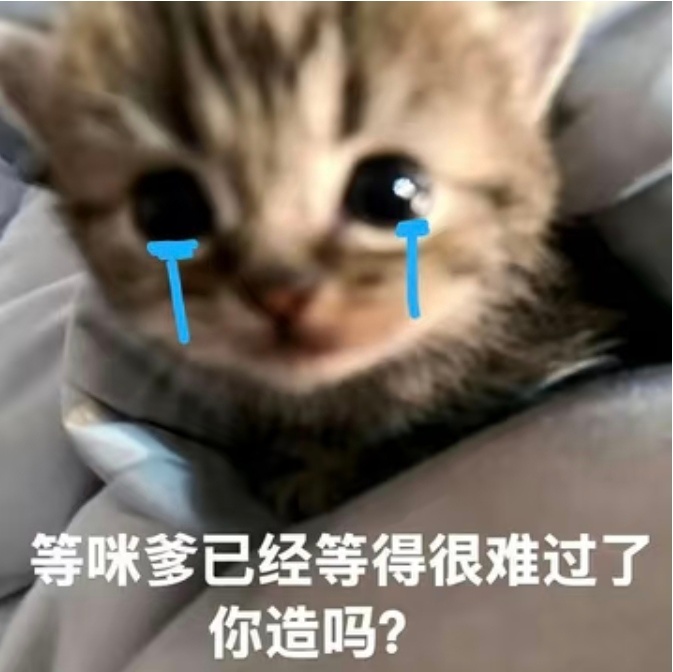 我靠到底啥时候发混池PV，我只是个想见秦彻的可怜女人 ​​​