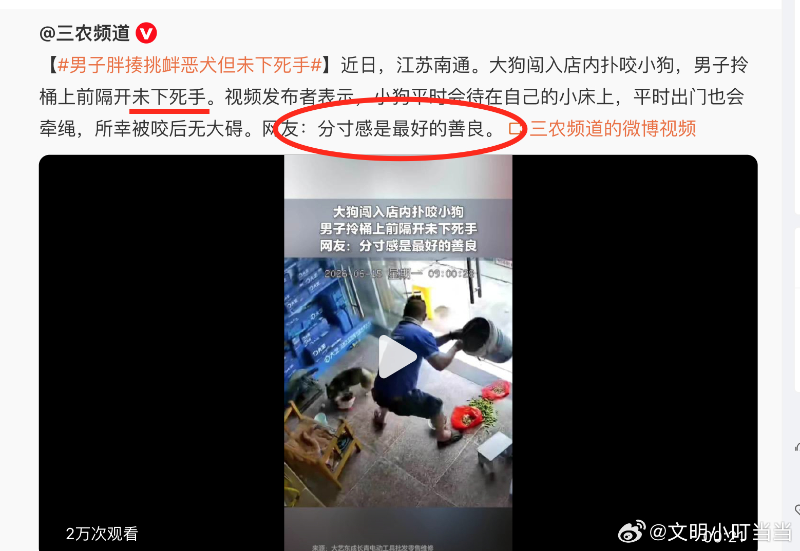 男子胖揍挑衅恶犬但未下死手同一条狗4小时咬伤多人 网友：分寸感是最好的善良。 