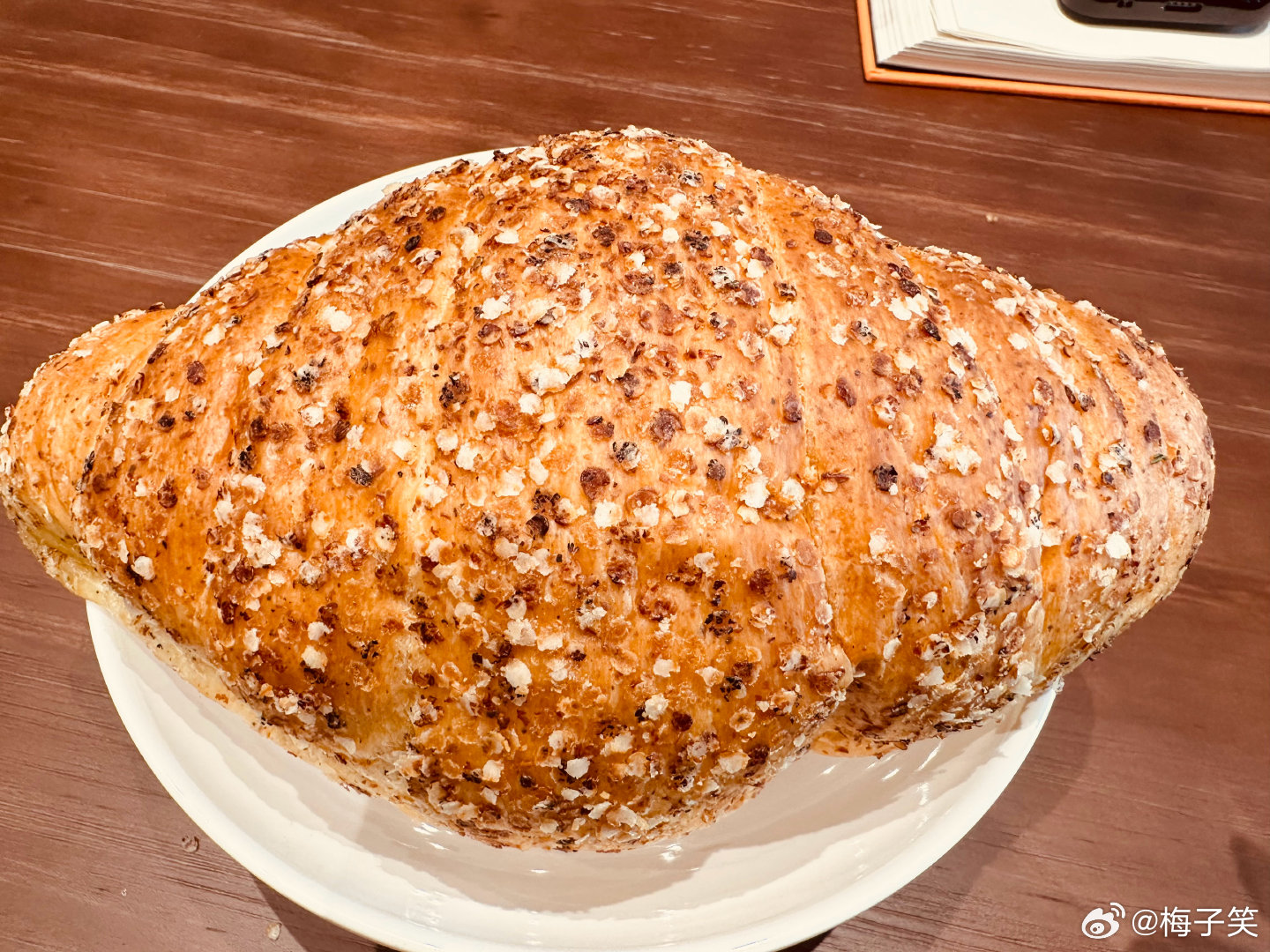 送来了惊呆了，好胖好胖好胖好胖你怎么可以这么胖 