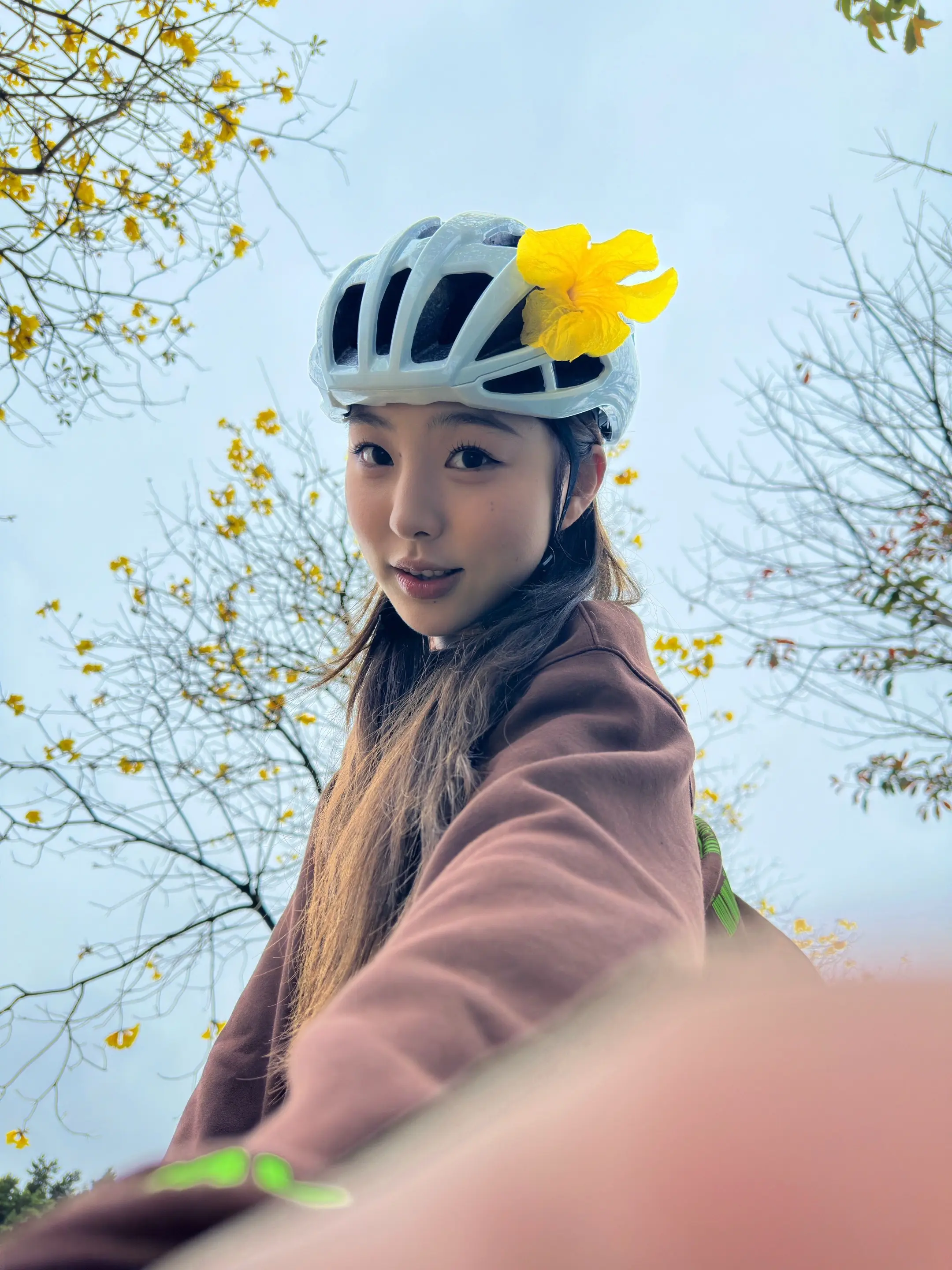 春天没有方向 春天只顾开花。