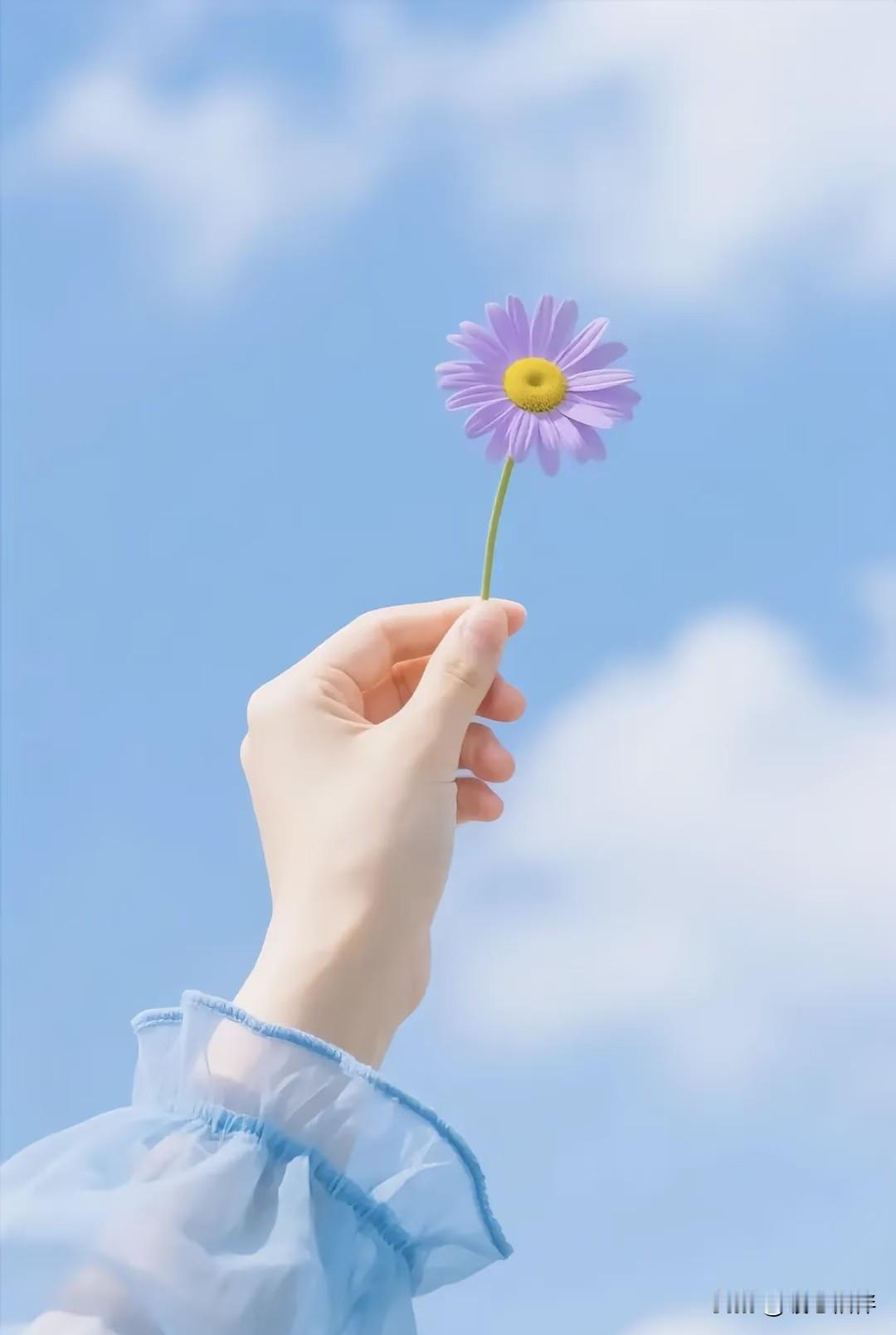 突然很羡慕单身的人，他们活出了自我，活出了自己想要的生活。

像大冰，李娟，莫文