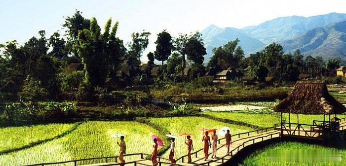 【勐景来】西双版纳勐景来景区是在勐海县打洛镇景来寨（古称勐景来）的基础上创建的，
