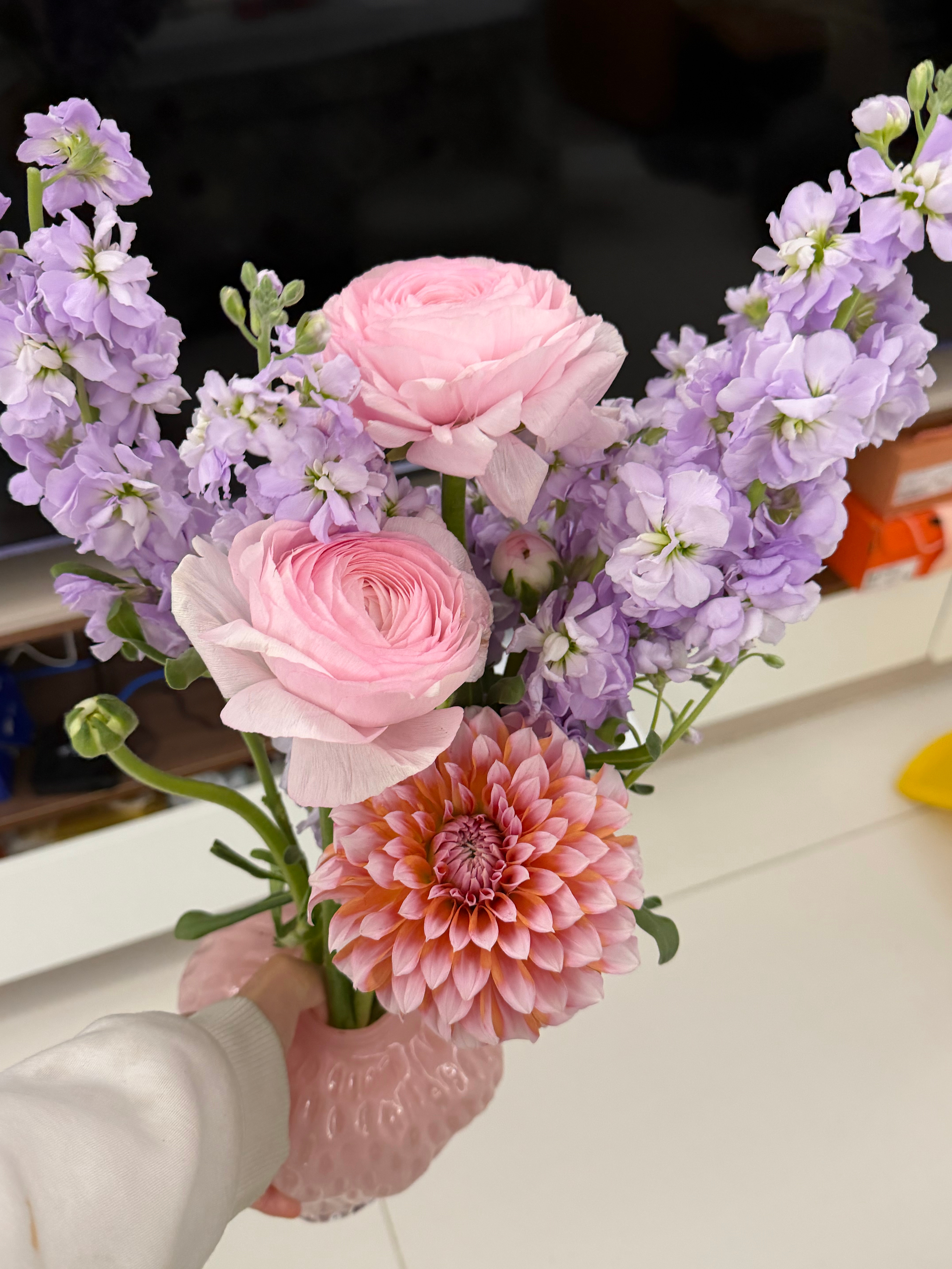 摩登兄弟刘宇宁小贝 | 刘宇宁玫瑰丛生 | 摩登兄弟刘宇宁小贝｜刘宇宁玫瑰丛生门