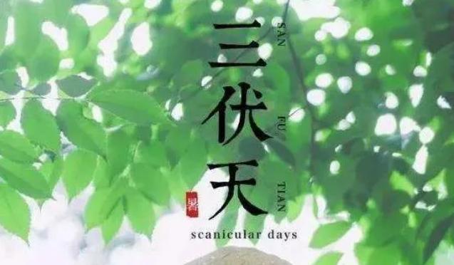 紧急提醒，大家提前做好准备！
 
7月15日，2026年三伏天正式开启，今年三伏