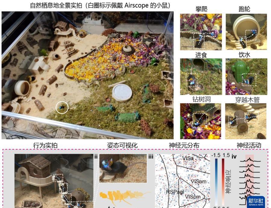 【中国造微型“脑探测器”如何“读懂大脑”？】中国工程院院士、清华大学教授戴琼海团