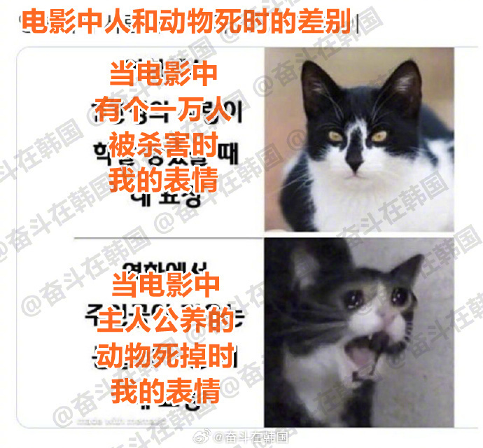 看到电影中人和动物死时的差别  海外新鲜事 热点现场